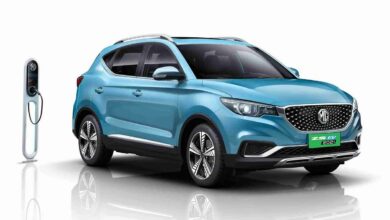 Mg zs ev