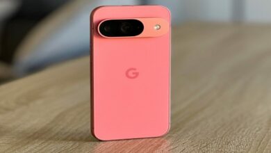 Google pixel 9